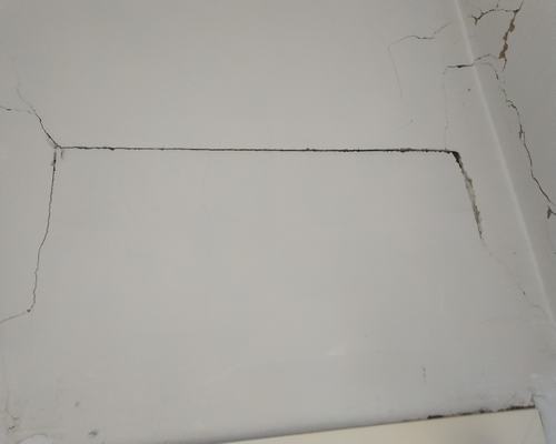 ʩ(do)·_(ki)ôkV|(zh)b