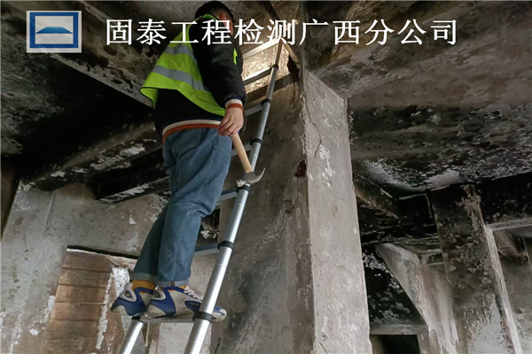 ݻ(zi)zy(c)F(xin)(chng)zy(c)(ni)